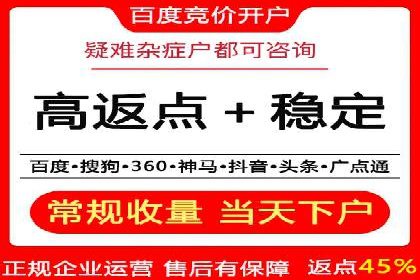 竞价广告赚钱：百度平台成功案例分析